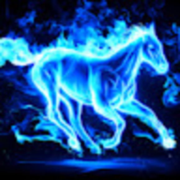 Meet your Posher, Karly - Picture 1 of 1